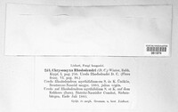 Image Associated With the Occurence